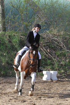 Bild 1048 - WBO-Turnier am 9.4.11